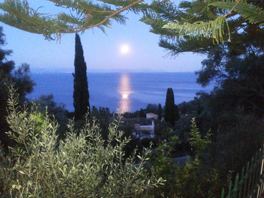 Villa Emily Achilleion Ruang foto
