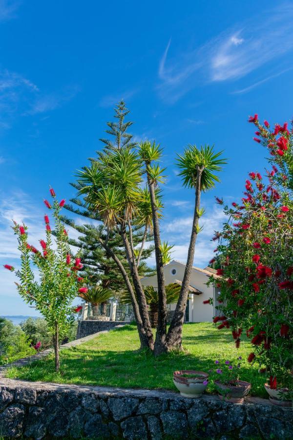 Villa Emily Achilleion Bagian luar foto